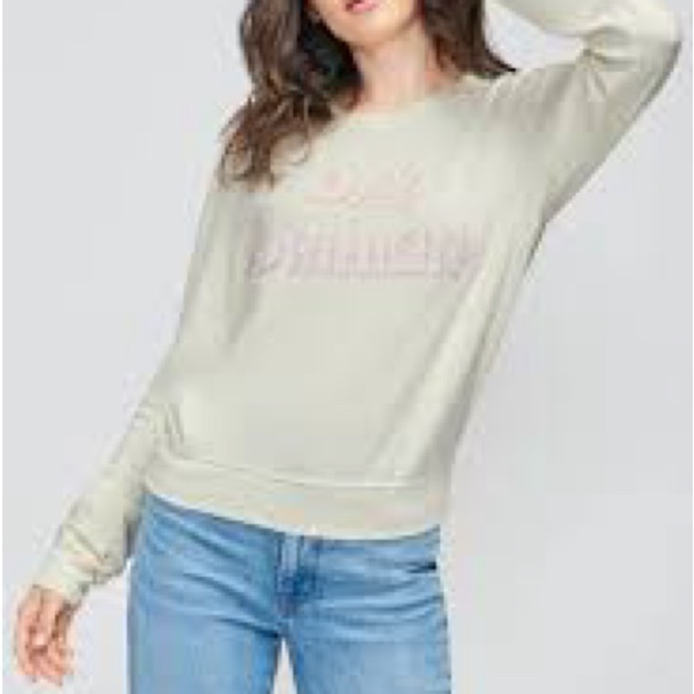 Wild fox Day Drinkin sweatshirt